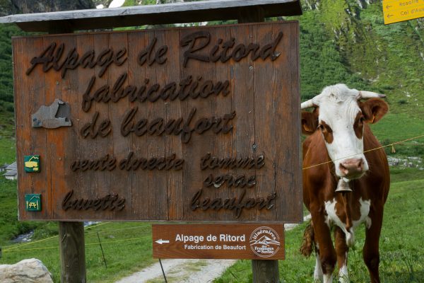 Loïc Perron Photo, Agriculture, producteurs, viticulture, savoie, Isère, Rhône-Alpes, isère,