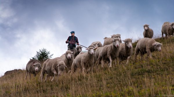 Loïc Perron Photo, Agriculture, producteurs, viticulture, savoie, Isère, Rhône-Alpes, isère,