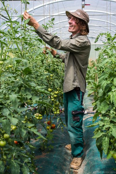 Loïc Perron Photo, Agriculture, producteurs, viticulture, savoie, Isère, Rhône-Alpes,