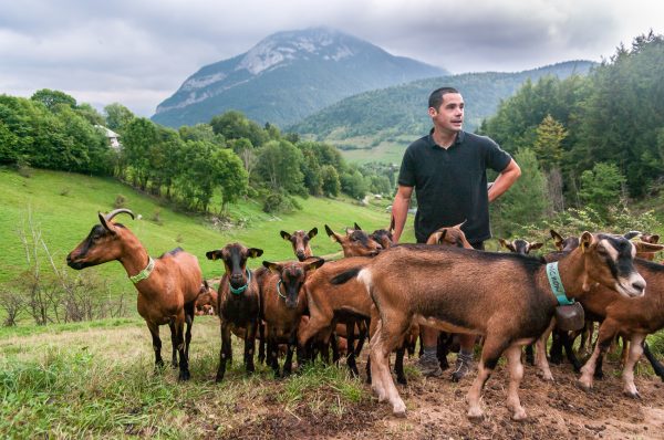 Loïc Perron Photo, Agriculture, producteurs, viticulture, savoie, Isère, Rhône-Alpes,