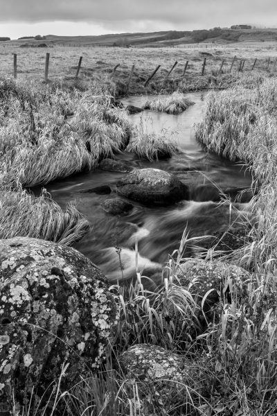 Aubrac, France, ruisseau de Gambaise