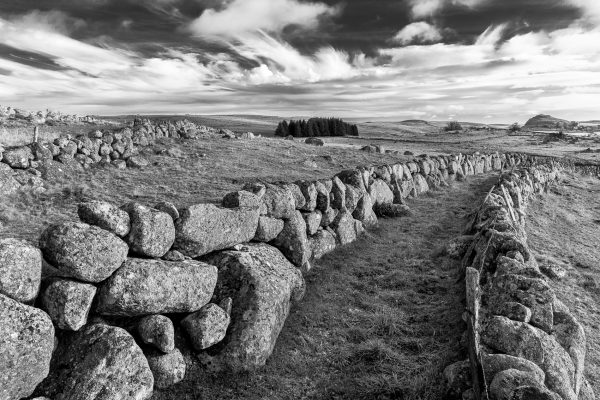 Aubrac, France, murs de pierre, Rieutort d'Aubrac