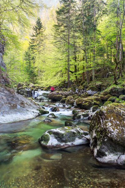 Chartreuse, Alpes, Ombrelle rouge, Gorges du Guiers Mort