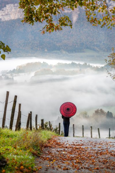 Chartreuse, Alpes, Ombrelle rouge, Vallée du Guiers dans la brume depuis Miribel les Echelles