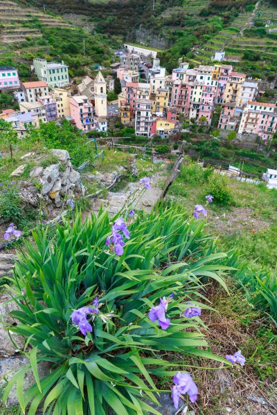 Cinque Terre, Italia, Liguria, Manarola