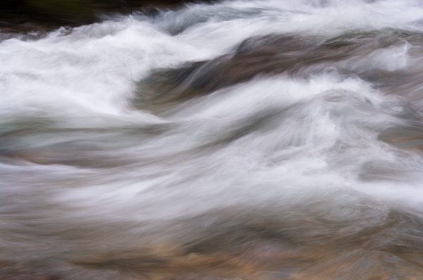 Alps, Isère, Chartreuse, torrent