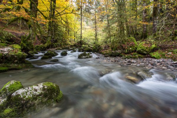 Alpes, Isère, Chartreuse, torrent du Guiers Mort