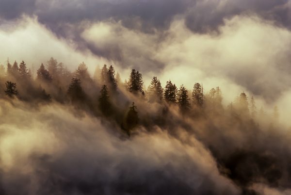 Alps, Isère, Chartreuse, brumes