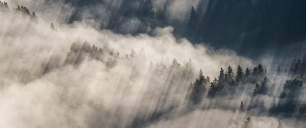 Alpes, Isère, Chartreuse, brumes