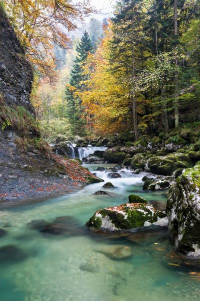 Alpes, Isère, Chartreuse, gorges du Guiers Mort