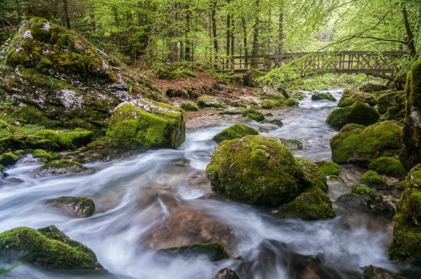 Alpes, Isère, Chartreuse, torrent du Guiers Vif, cirque de St-Même