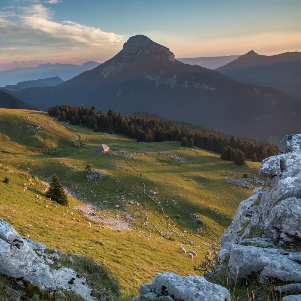 Alpes, Isère, Chartreuse, alpage de Pravouta