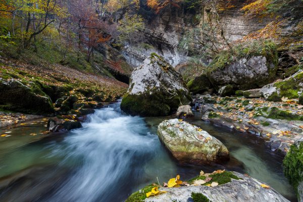 Alpes, Isère, Chartreuse, torrent du Guiers Mort