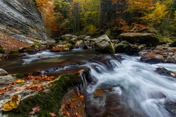 Alps, Chartreuse, the Guiers Mort