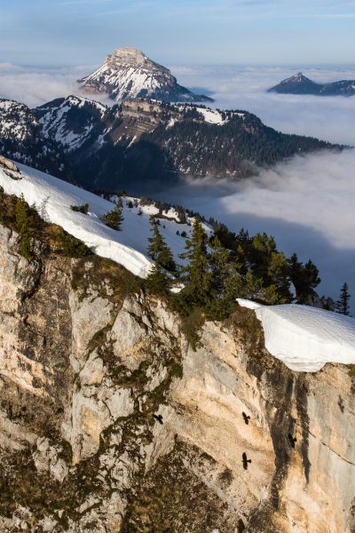 Alps, Isère, Chartreuse, Chamechaude depuis le Dôme de Bellefont