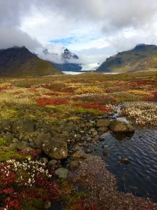 Islande, Hautes Terres, Fjallabak