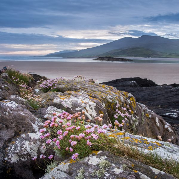 Irlande, Kerry, Dingle peninsula, Brandon Bay, voyage photo en Irlande