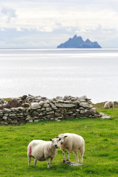 Irlande, Kerry, les Skellig Island depuis St Finan's Bay