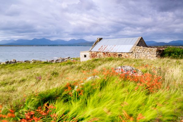 Irlande, Connemara, Bertraghboy Bay