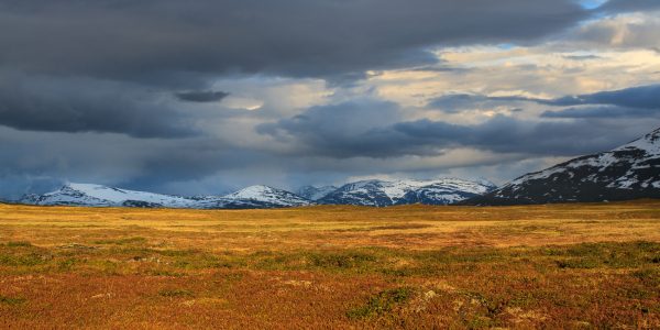 Suède, Padjelanta, Laponie, Sapmi, Sarek mountains