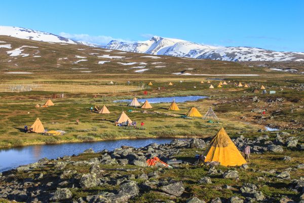 Suède, Padjelanta, Laponie, Sapmi, campement d'altitude pour le marquage des jeunes rennes