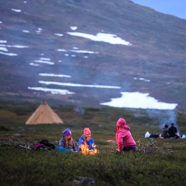 Suède, Padjelanta, Laponie, Sapmi, marquage des jeunes rennes