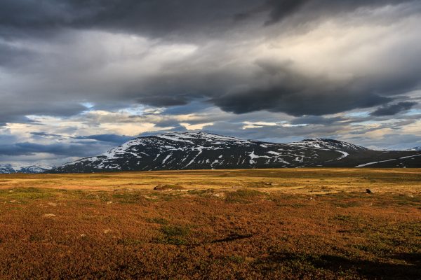 Suède, Padjelanta, Laponie, Sapmi,