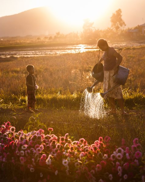 Myanmar, Birmanie, Inle, Nyaung Shwe