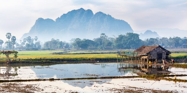 Myanmar, Birmanie, Hpa-an, rizières, rice fields