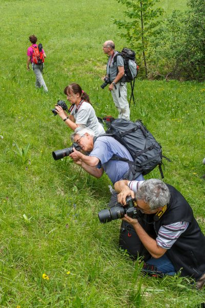 photographes, stage photo flore, stage macro-photo, Chartreuse