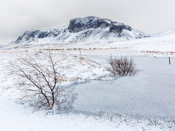 Islande, Snaefellsnes