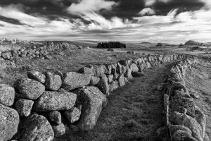 Aubrac, noir et blanc, paysage murets, Lozère, Aveyron, Cantal