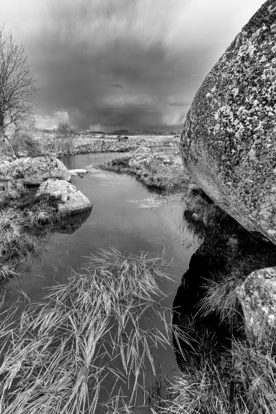 Aubrac, noir et blanc, paysage, Lozère, Aveyron, Cantal