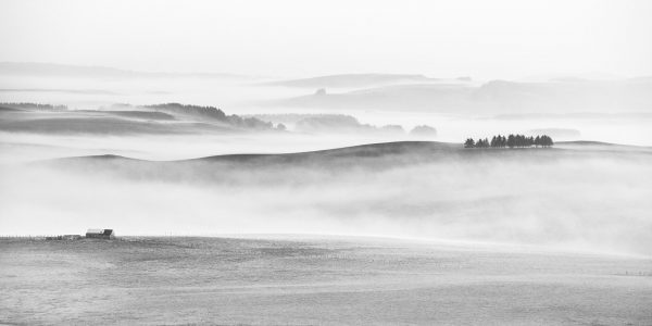 Aubrac, noir et blanc, paysage, buron, Lozère, Aveyron, Cantal