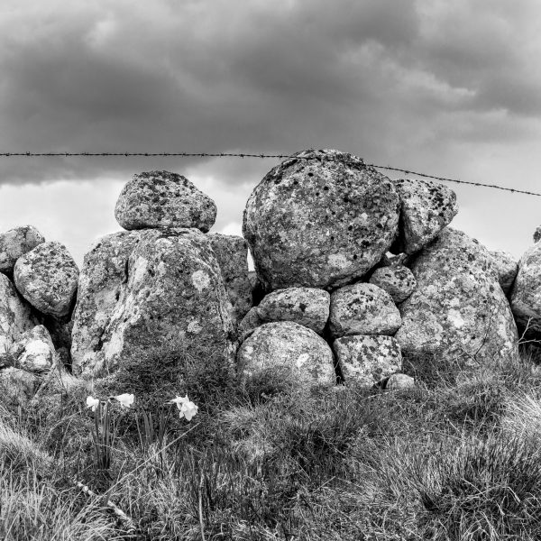 Aubrac, noir et blanc, paysage, muret, Lozère, Aveyron, Cantal