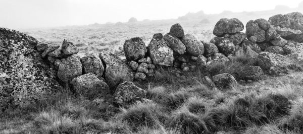 Aubrac, noir et blanc, paysage, Lozère, Aveyron, Cantal