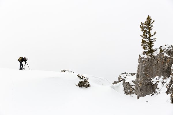 stage photo, arbre, Isère, neige, hiver, Chartreuse, hauts-plateaux, réserve naturelle