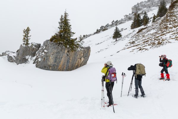 Stage photo raquettes sur les hauts plateaux de Chartreuse, Isère.