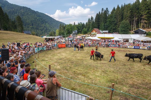 stage photo reportage fête des Hérens Chartreuse, Isère, Savoie