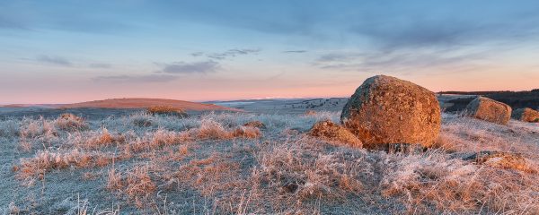 Matin d'or en Aubrac, stage photo l'Aubrac en hiver