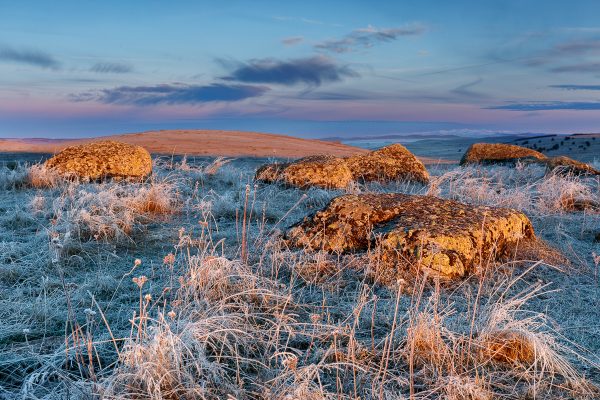 Matin d'or en Aubrac