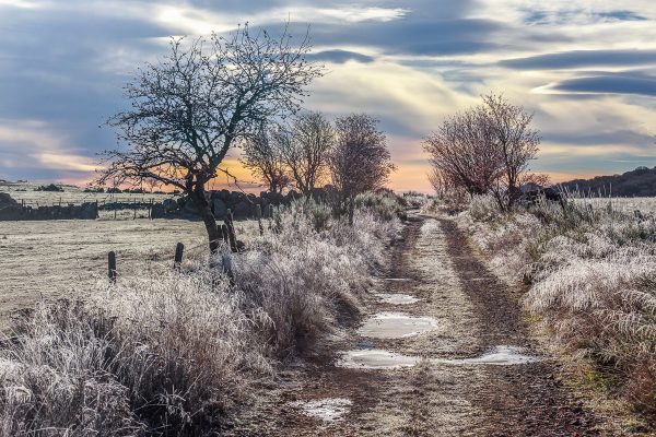 Chemin d'Aubrac en hiver