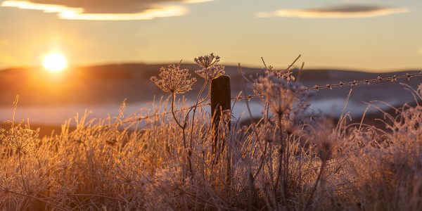 matin de givre en Aubrac, stage photo Aubrac