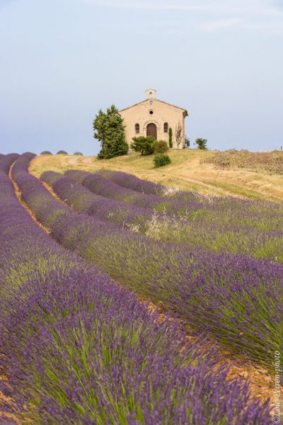 Stage photo en Provence, chapelle et champ de lavandes