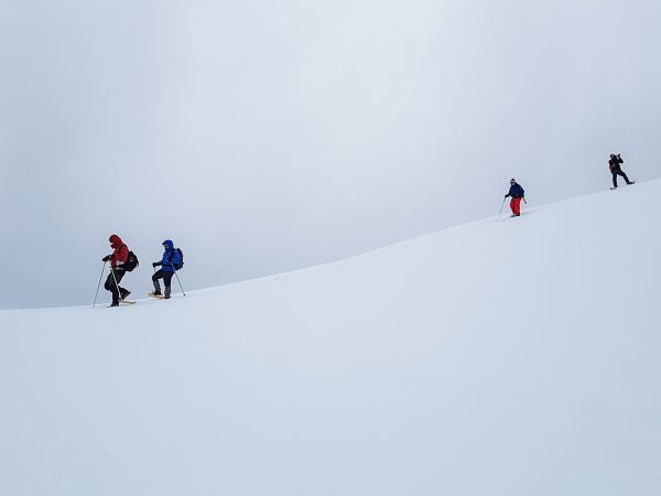 stage photo Chartreuse en hiver