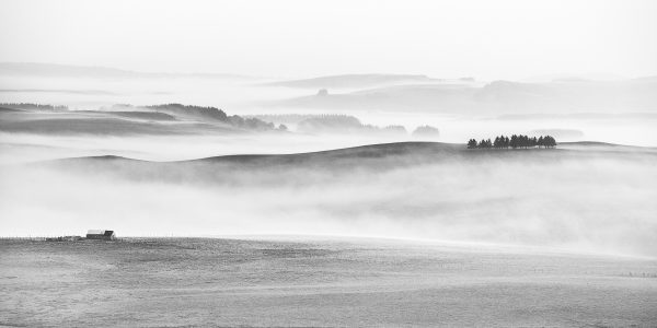 Paysage d'Aubrac en noir et blanc, buron