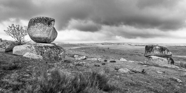 Aubrac en noir et blanc, blocs de granit