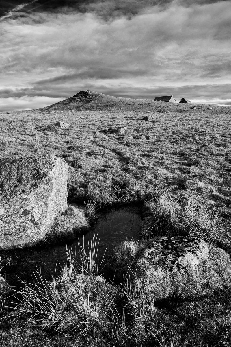 sur les plateaux du côté de St-Andéol, stage photo Aubrac