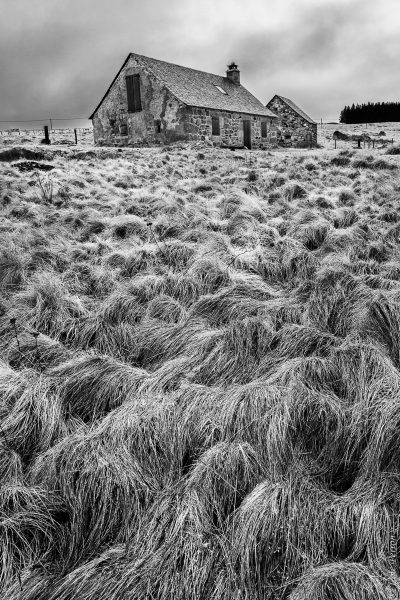 herbes folles et buron, à la manière de Jean-Loup Sieff