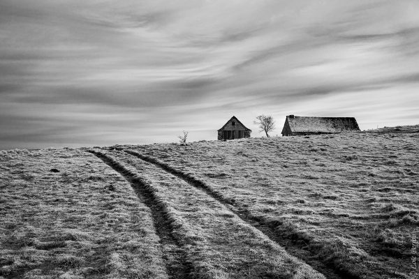 Buron en noir et blanc, sur les hauteurs de l'Aubrac